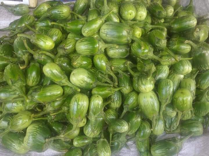পাহাড়ি বেগুন