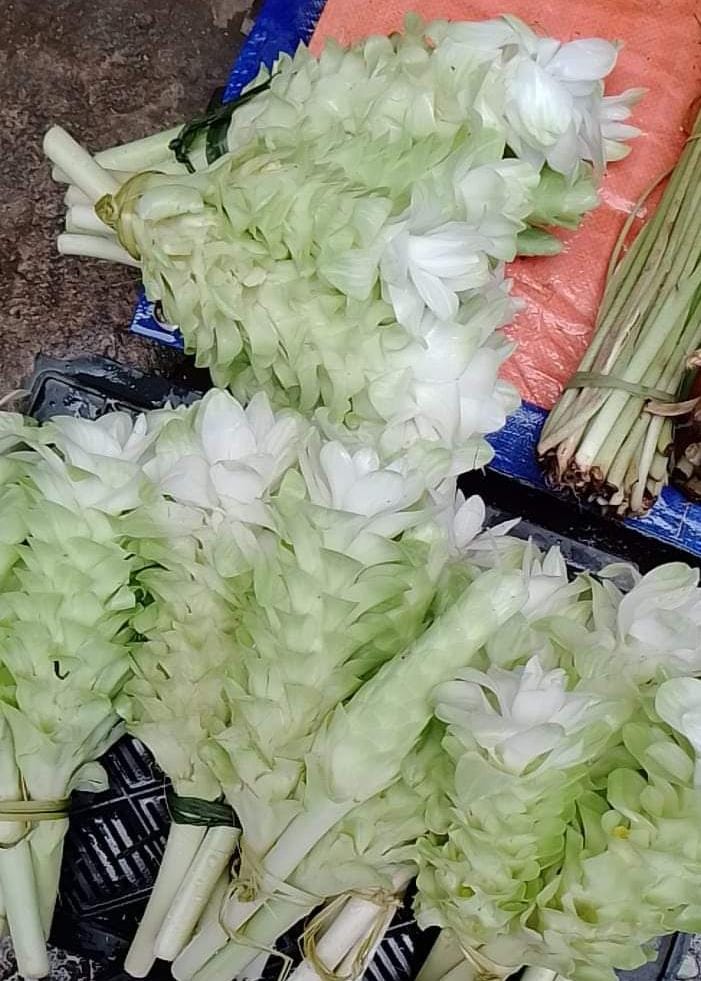 পাহাড়ি হলুদ ফুল