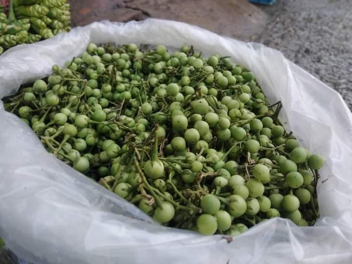 মিঠা বিগোল