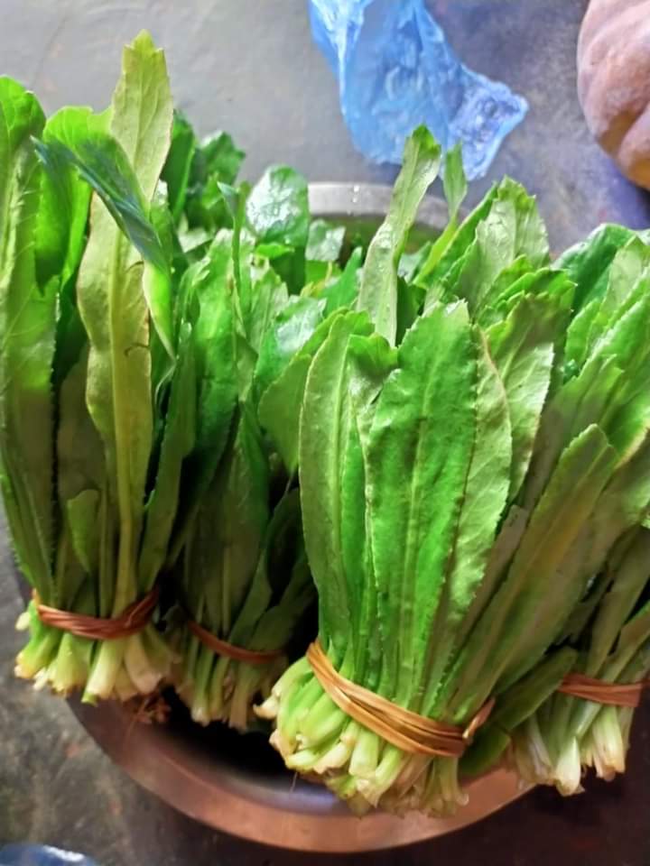 পাহাড়ি ধনিয়া পাতা