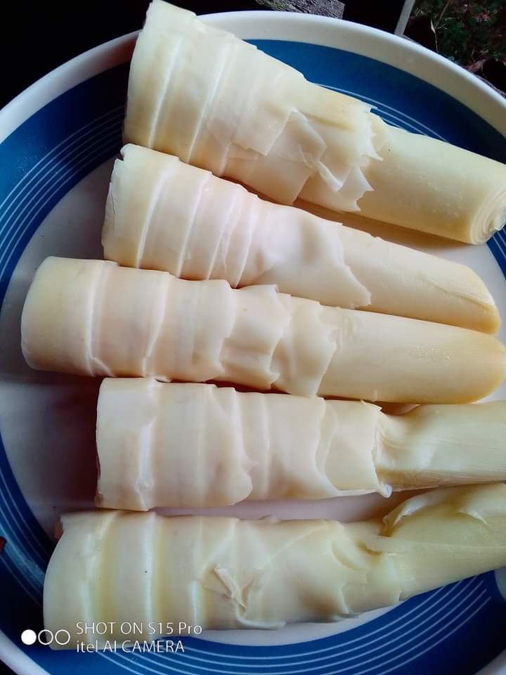 পাহাড়ের বাঁশ কোরল