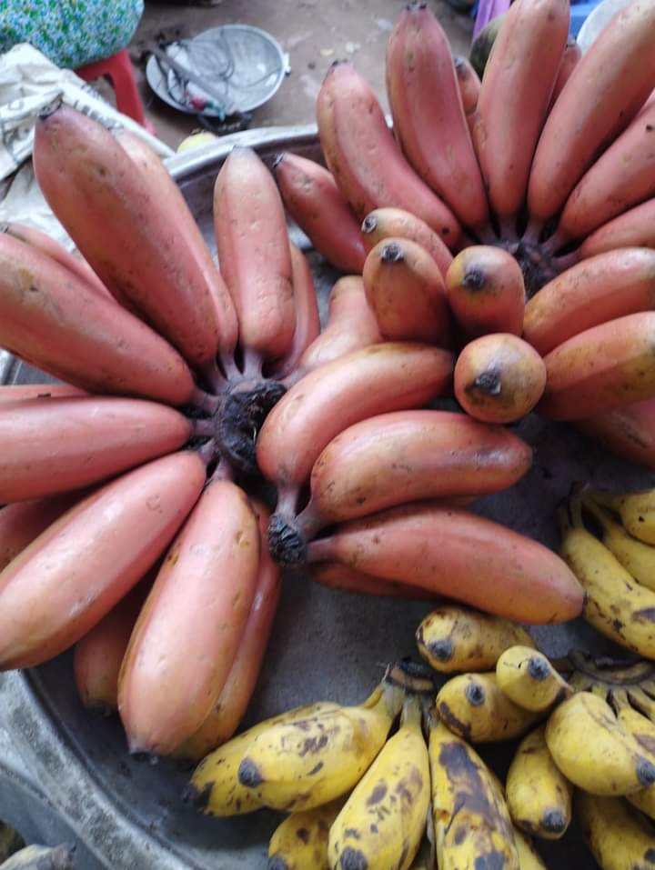 পাহাড়ি লাল কলা