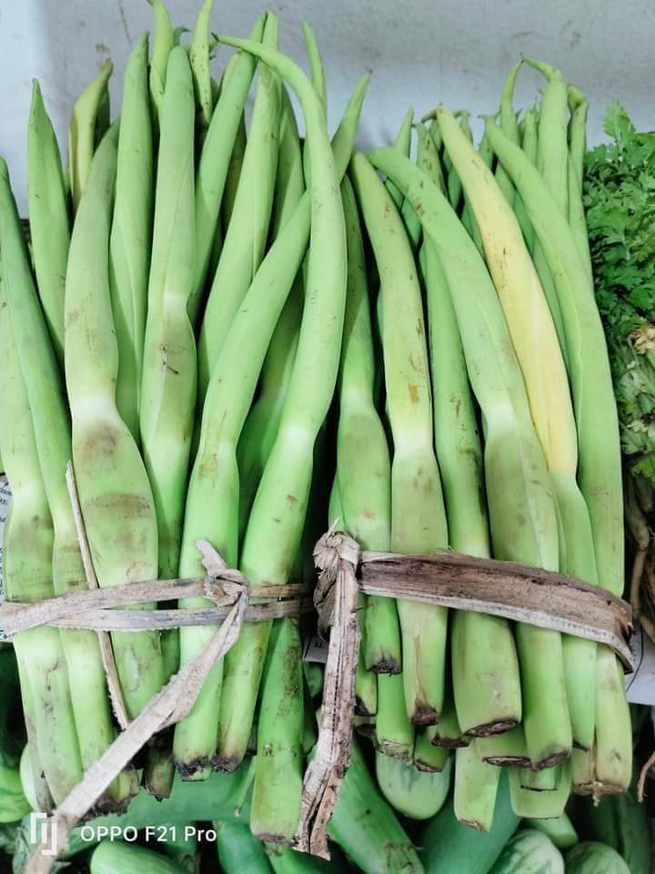 কচু ফুল