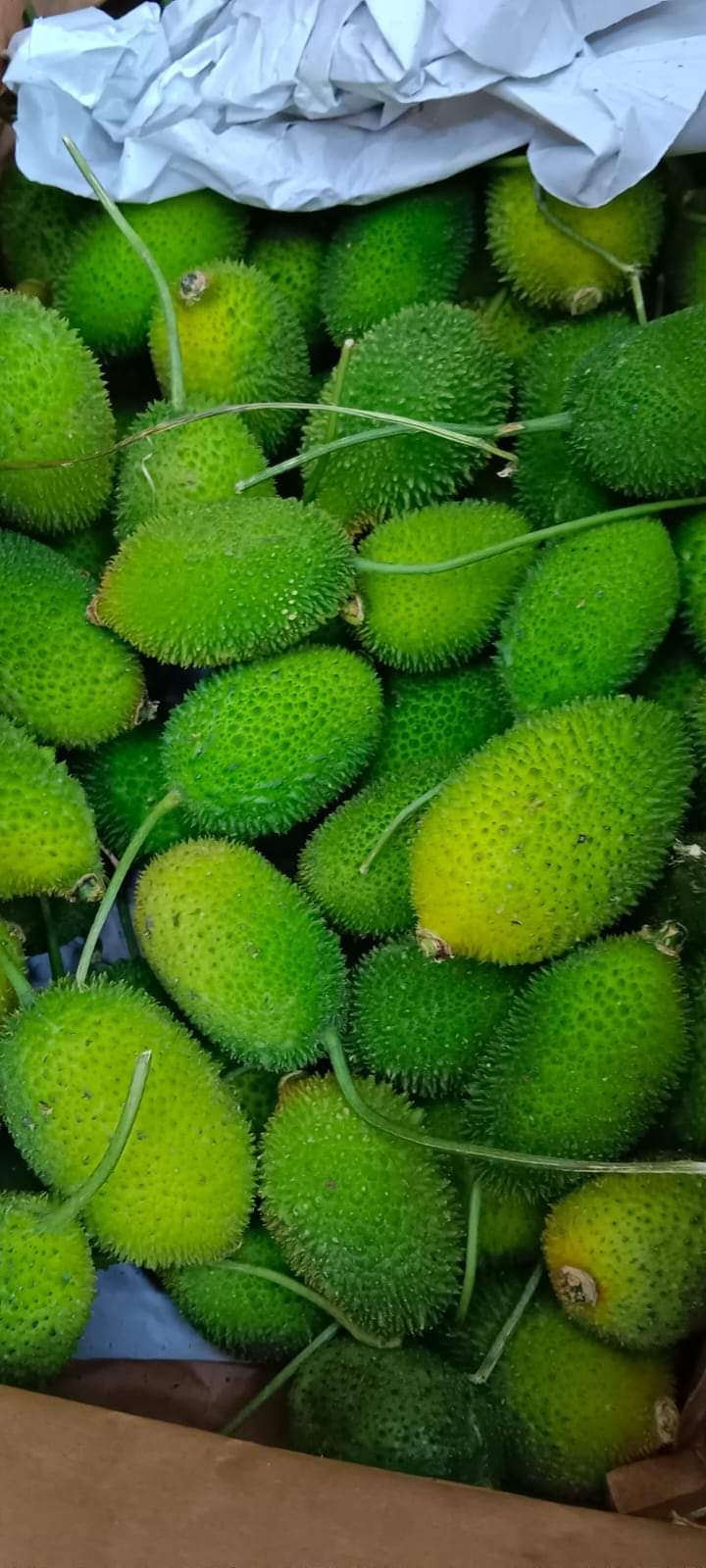 পাহাড়ি কাঁকরোল