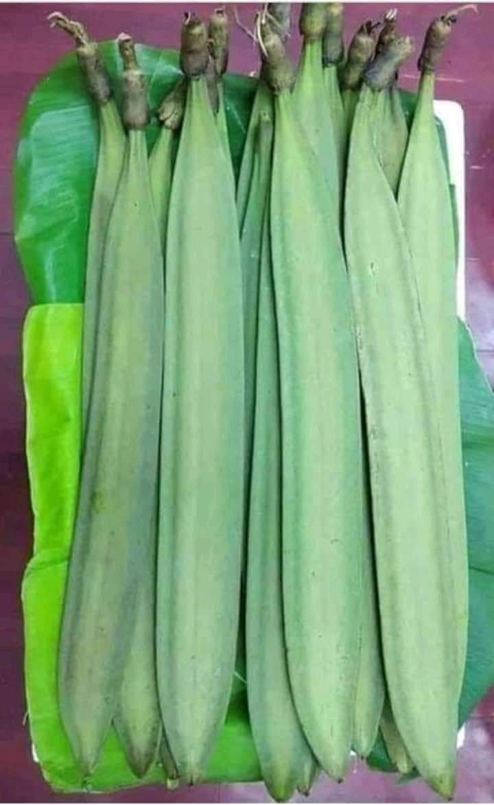 পাহাড়ি খনা